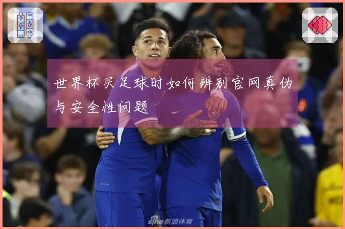 世界杯买足球时如何辨别官网真伪与安全性问题