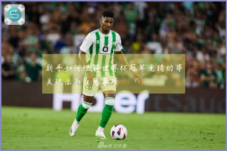 新手如何理解世界杯冠军竞猜的串关玩法和注意事项