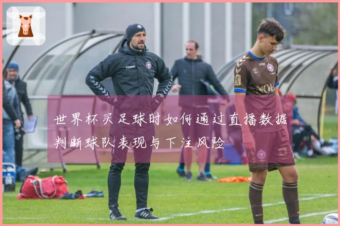世界杯买足球时如何通过直播数据判断球队表现与下注风险