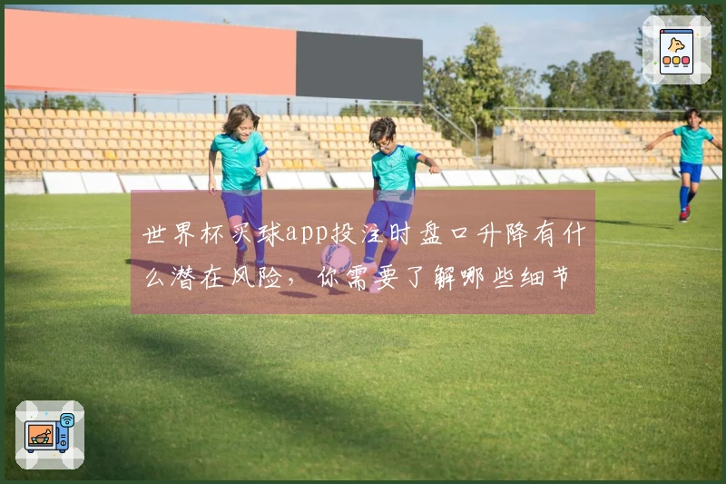 世界杯买球app投注时盘口升降有什么潜在风险，你需要了解哪些细节？