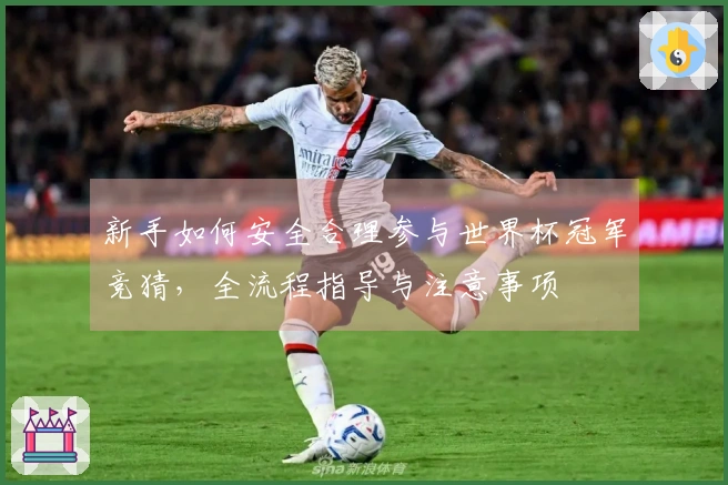 新手如何安全合理参与世界杯冠军竞猜，全流程指导与注意事项