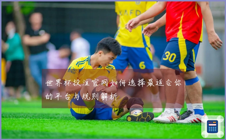 世界杯投注官网如何选择最适合你的平台与规则解析