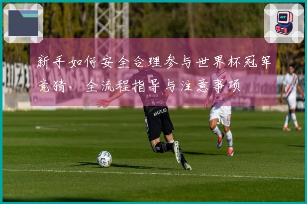 新手如何安全合理参与世界杯冠军竞猜，全流程指导与注意事项