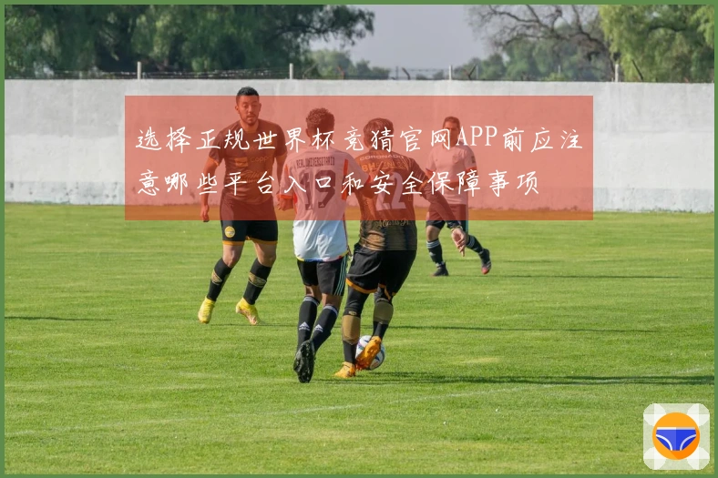 选择正规世界杯竞猜官网APP前应注意哪些平台入口和安全保障事项