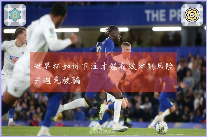 世界杯如何下注才能有效控制风险并避免被骗