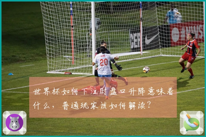 世界杯如何下注时盘口升降意味着什么，普通玩家该如何解读？