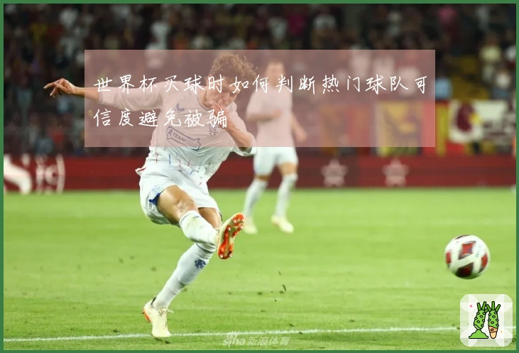 世界杯买球时如何判断热门球队可信度避免被骗