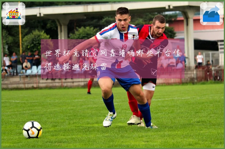 世界杯竞猜官网靠谱吗哪些平台值得选择避免踩雷
