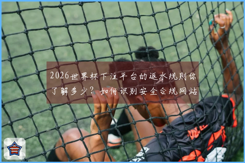 2026世界杯下注平台的返水规则你了解多少？如何识别安全合规网站？