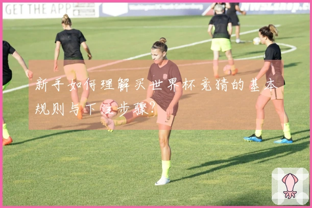 新手如何理解买世界杯竞猜的基本规则与下注步骤？