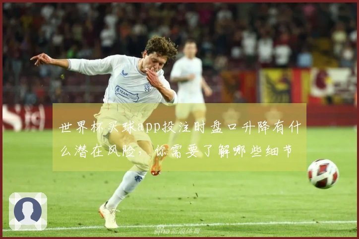 世界杯买球app投注时盘口升降有什么潜在风险，你需要了解哪些细节？