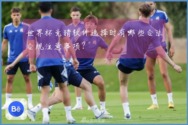 世界杯竞猜软件选择时有哪些合法合规注意事项？