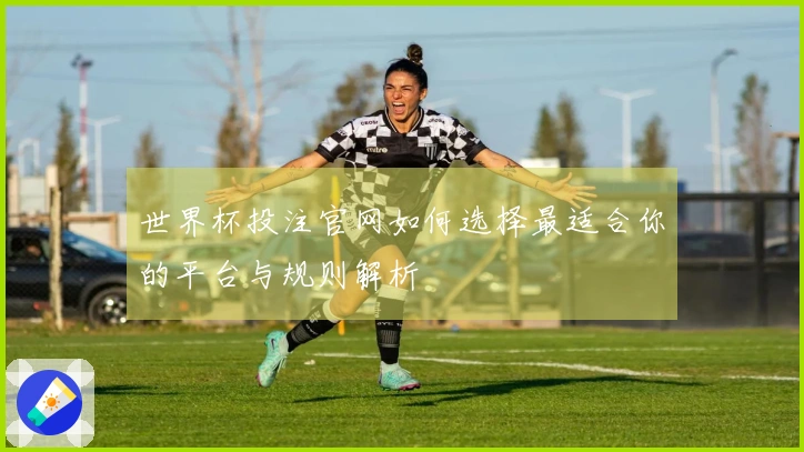 世界杯投注官网如何选择最适合你的平台与规则解析