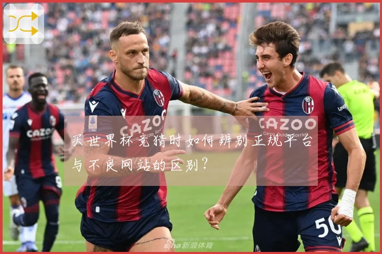 买世界杯竞猜时如何辨别正规平台与不良网站的区别？