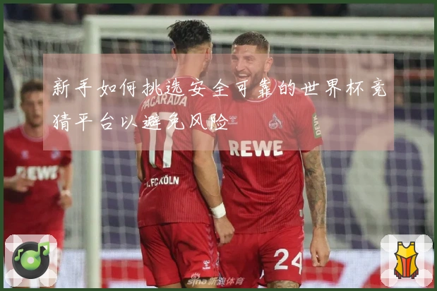新手如何挑选安全可靠的世界杯竞猜平台以避免风险