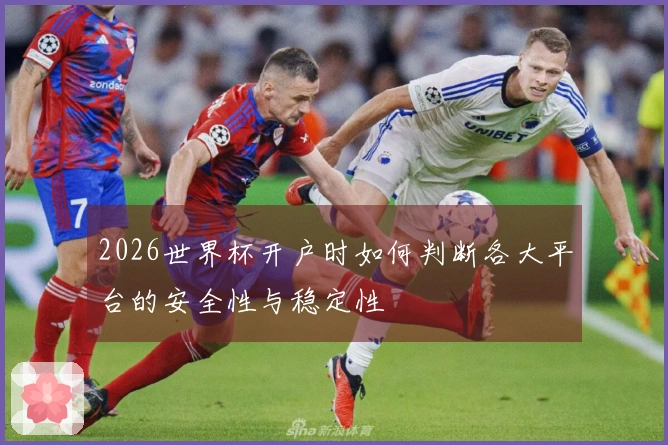 2026世界杯开户时如何判断各大平台的安全性与稳定性