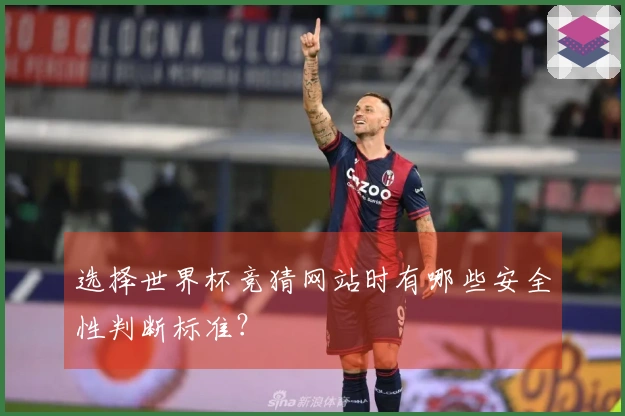 选择世界杯竞猜网站时有哪些安全性判断标准？