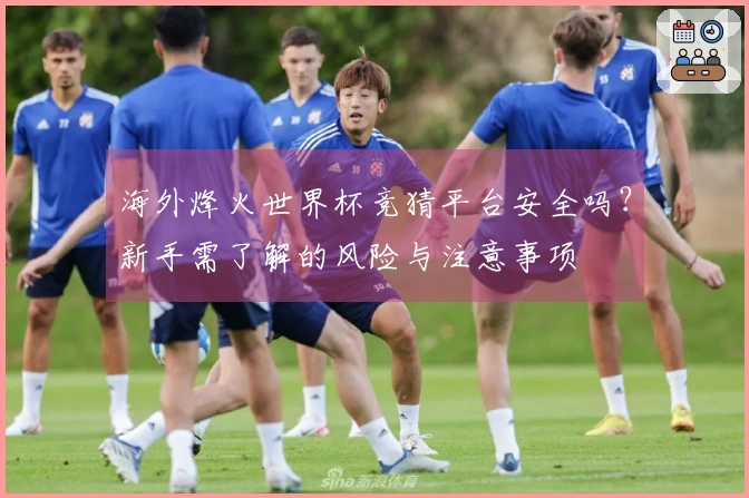 海外烽火世界杯竞猜平台安全吗？新手需了解的风险与注意事项