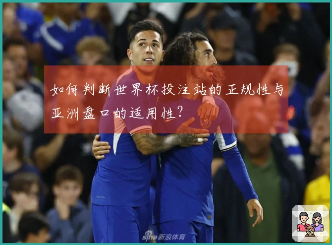 如何判断世界杯投注站的正规性与亚洲盘口的适用性？