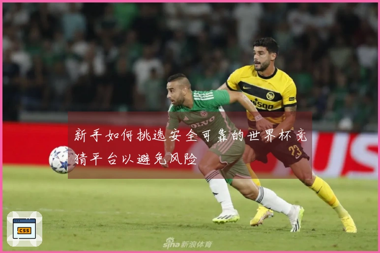 新手如何挑选安全可靠的世界杯竞猜平台以避免风险