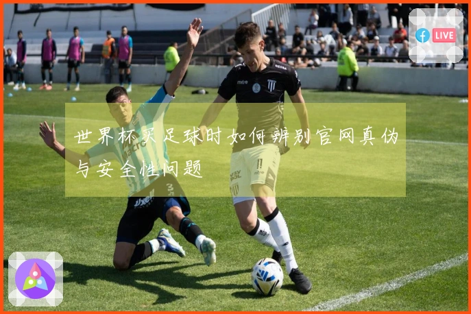 世界杯买足球时如何辨别官网真伪与安全性问题