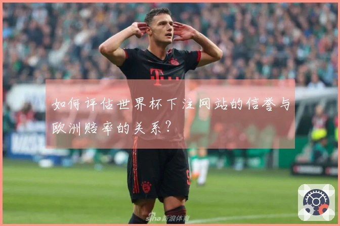 如何评估世界杯下注网站的信誉与欧洲赔率的关系？