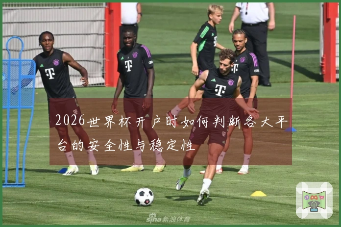 2026世界杯开户时如何判断各大平台的安全性与稳定性