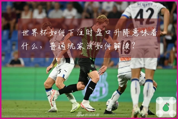 世界杯如何下注时盘口升降意味着什么，普通玩家该如何解读？
