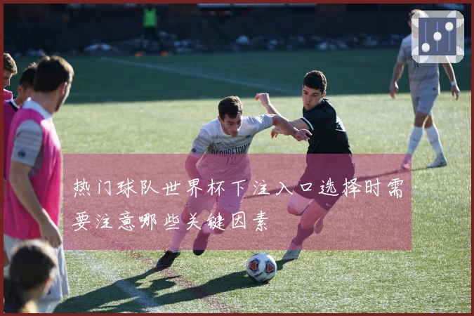 热门球队世界杯下注入口选择时需要注意哪些关键因素
