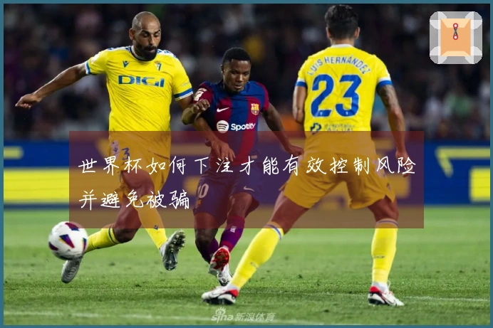 世界杯如何下注才能有效控制风险并避免被骗