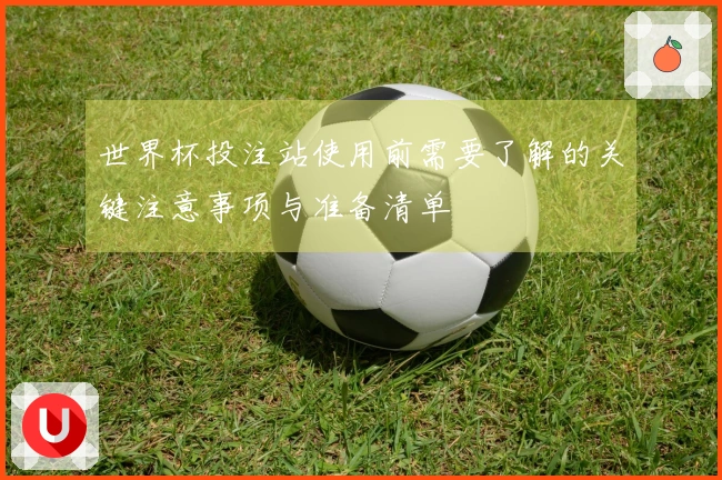 世界杯投注站使用前需要了解的关键注意事项与准备清单