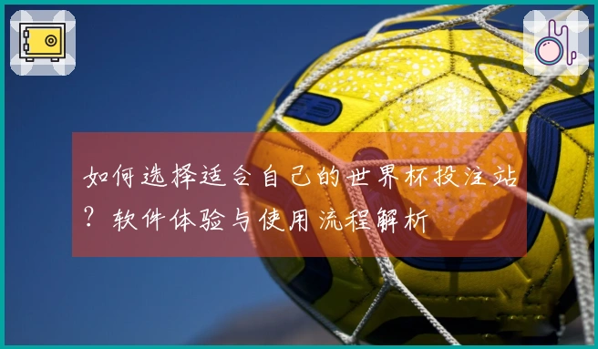 如何选择适合自己的世界杯投注站？软件体验与使用流程解析