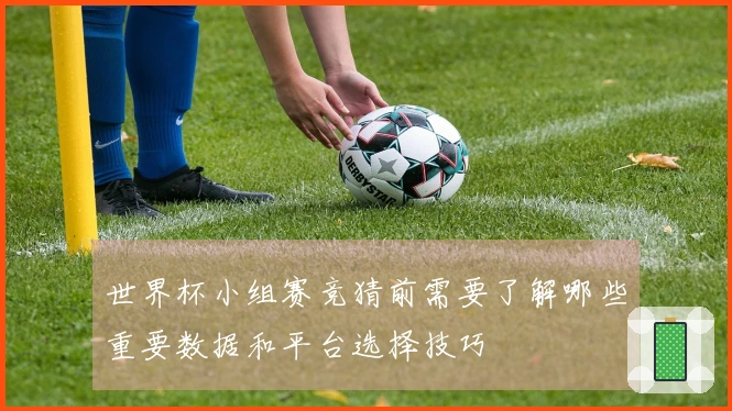 世界杯小组赛竞猜前需要了解哪些重要数据和平台选择技巧