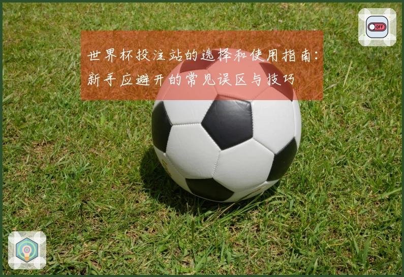 世界杯投注站的选择和使用指南：新手应避开的常见误区与技巧