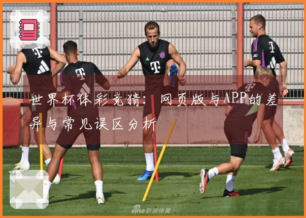 世界杯体彩竞猜：网页版与APP的差异与常见误区分析